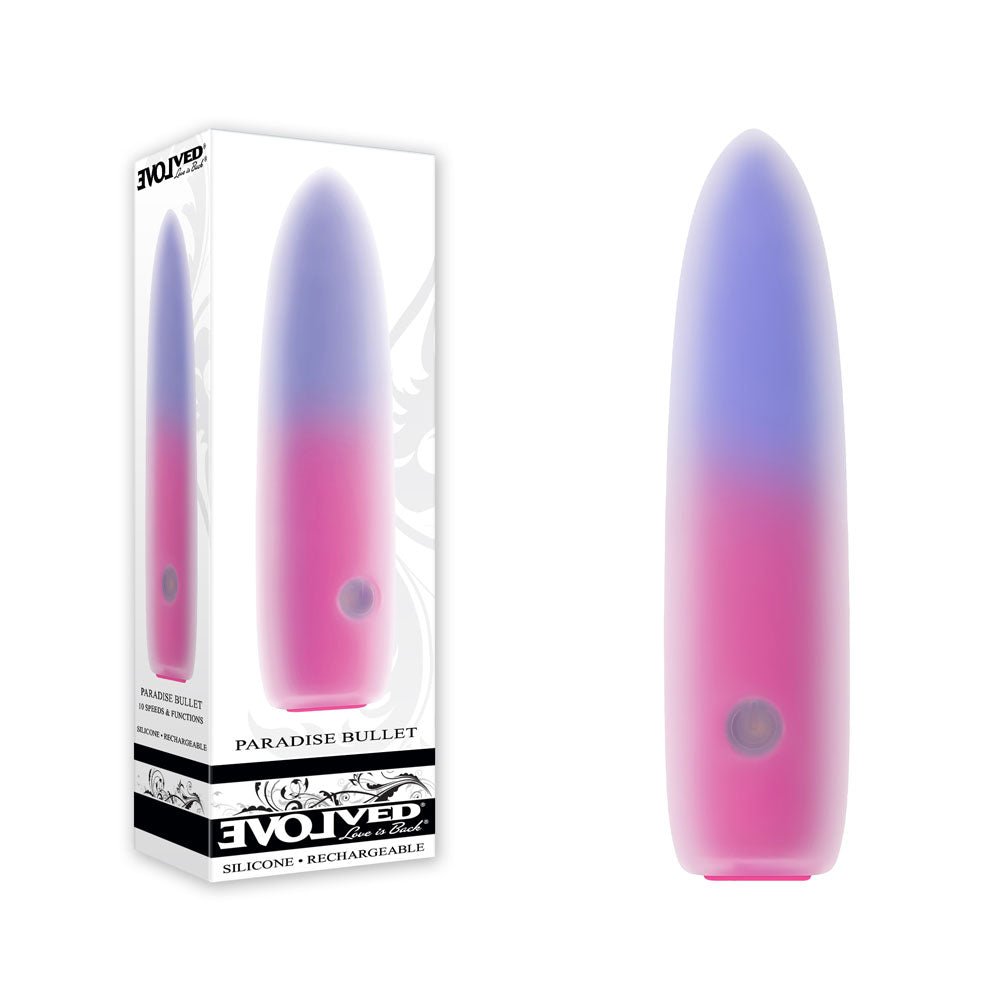 Evolved PARADISE BULLET - Pink/Purple 10.2 cm USB Rechargeable Bullet - Pleasure Den