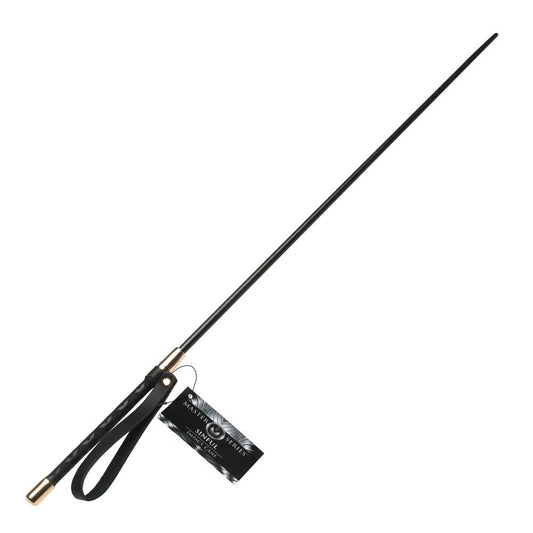 Master Series Sinful Impact Cane - Plastic Cane Whip - Pleasure Den
