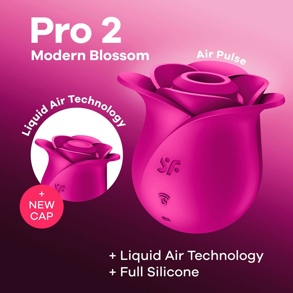 Satisfyer Pro 2 Modern Blossom - Modern USB Rechargeable Air Pulse Rose Stimulator - Pleasure Den